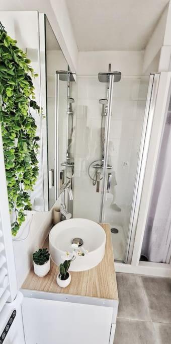 New #Boheme Chic# Pied De La Cite #2 Apartman Carcassone Kültér fotó