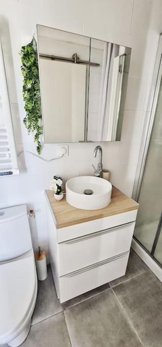 New #Boheme Chic# Pied De La Cite #2 Apartman Carcassone Kültér fotó