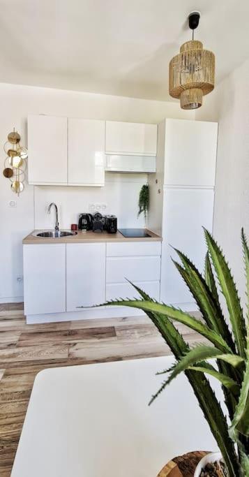New #Boheme Chic# Pied De La Cite #2 Apartman Carcassone Kültér fotó