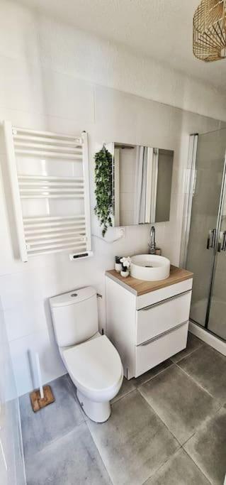 New #Boheme Chic# Pied De La Cite #2 Apartman Carcassone Kültér fotó